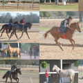 Aiken’s Top Equestrian Events: A Must-See Guide for Horse Lovers